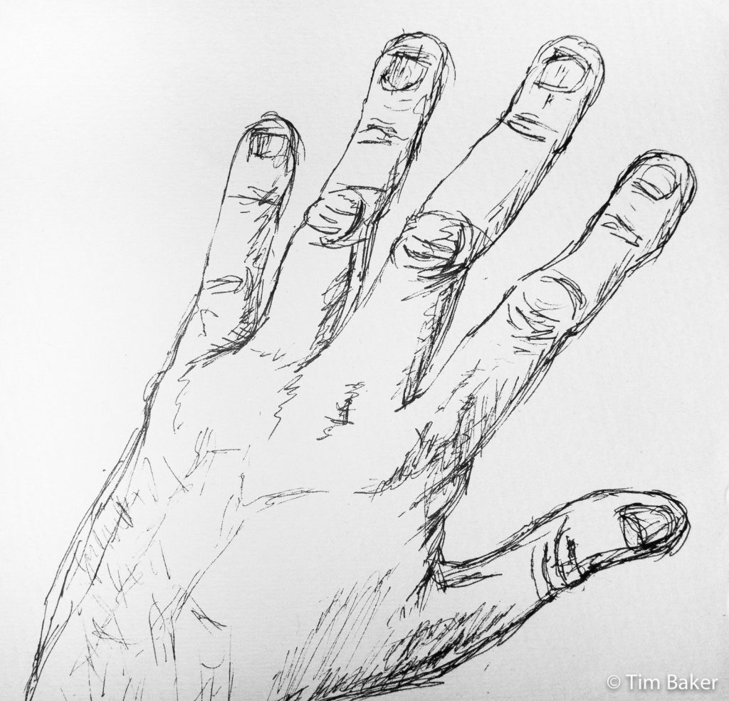 Hand Study (in progress) Pigma Pen, A4 detail