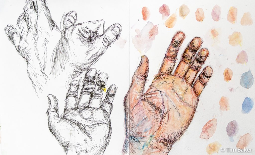 Hand Studies, Pilot Liner and Watercolour, 2xA4