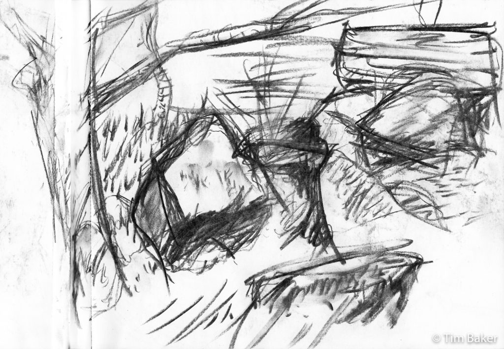 Peak District Trees and Boulders, Charcoal, 2005 (detail)