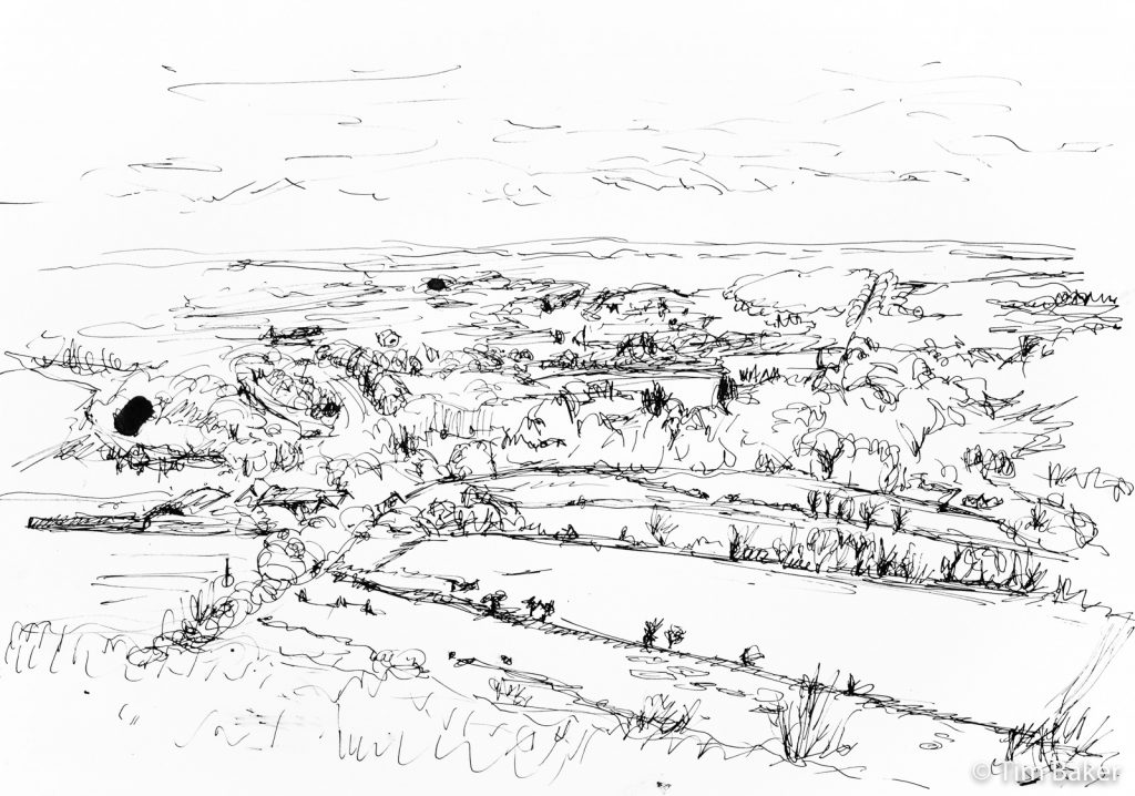 View from Box Hill, Dip Pen and Ink, A3