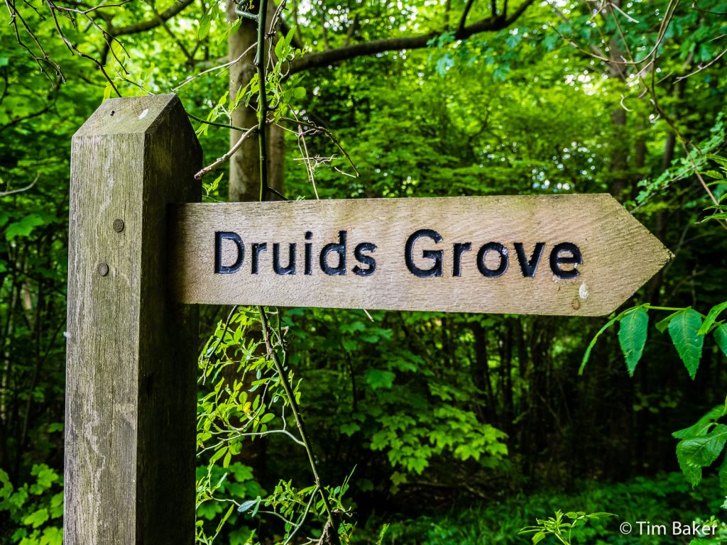 Druid's Grove sign, Norbury Park