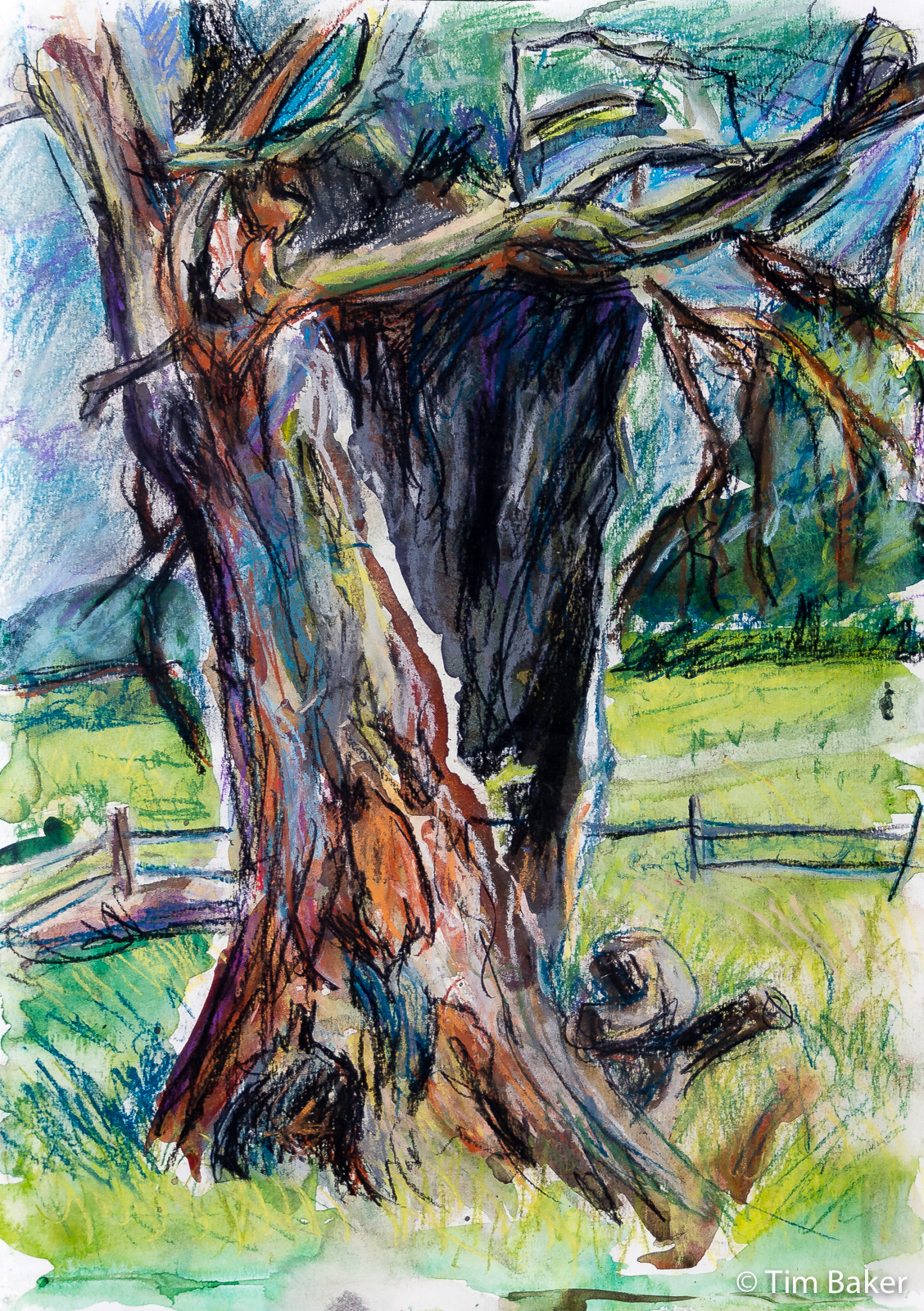 The Hollow Tree #1, Watercolour and Conte Crayon, A3