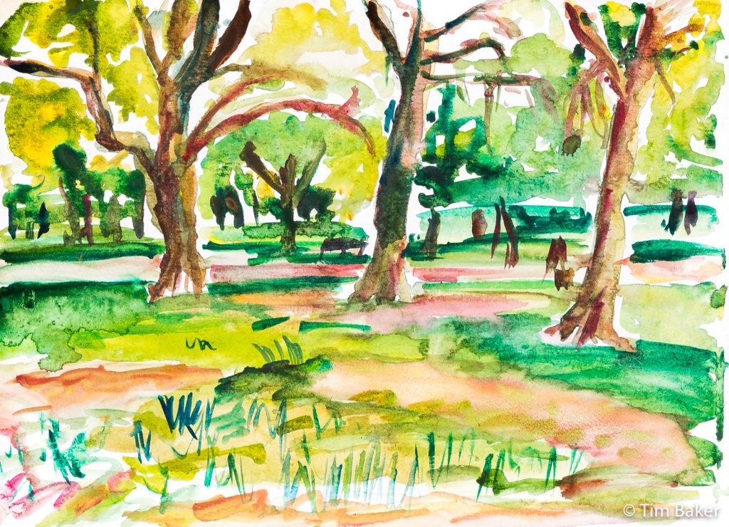 Tree Circle, Green Park, Watercolour, A3