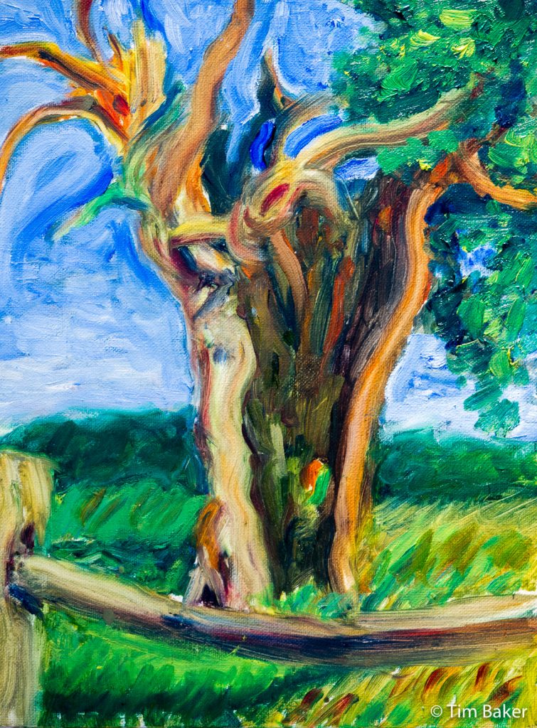Hollow Tree #3 - Final - shot with side-light (Oils on 30x40cm Canvas Board)