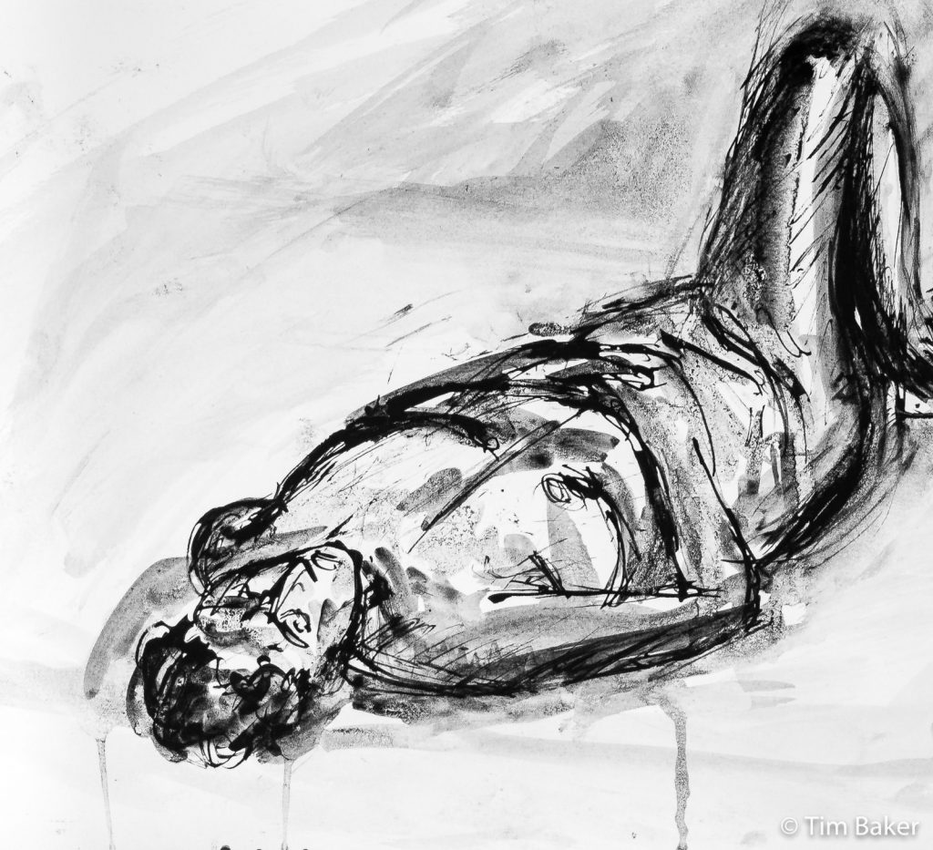 Champaa, Life Drawing #39, India Ink and Quill, Masking Pen and brush, A3 watercolour paper (detail)