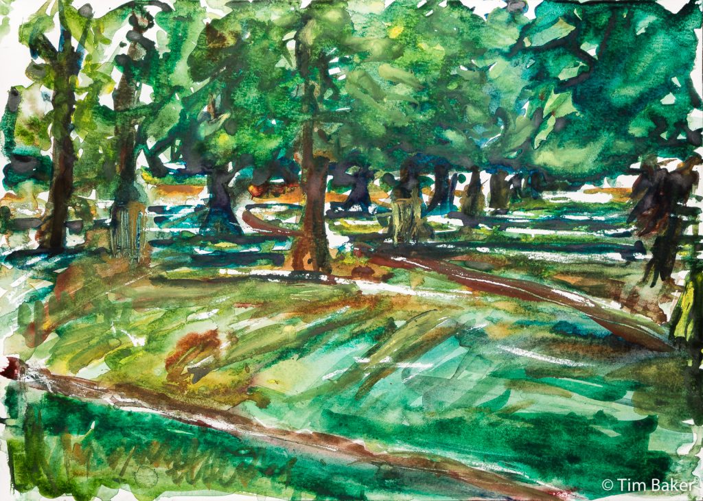 Light through the Trees, Bushy Park, Watercolour and masking fluid, A3