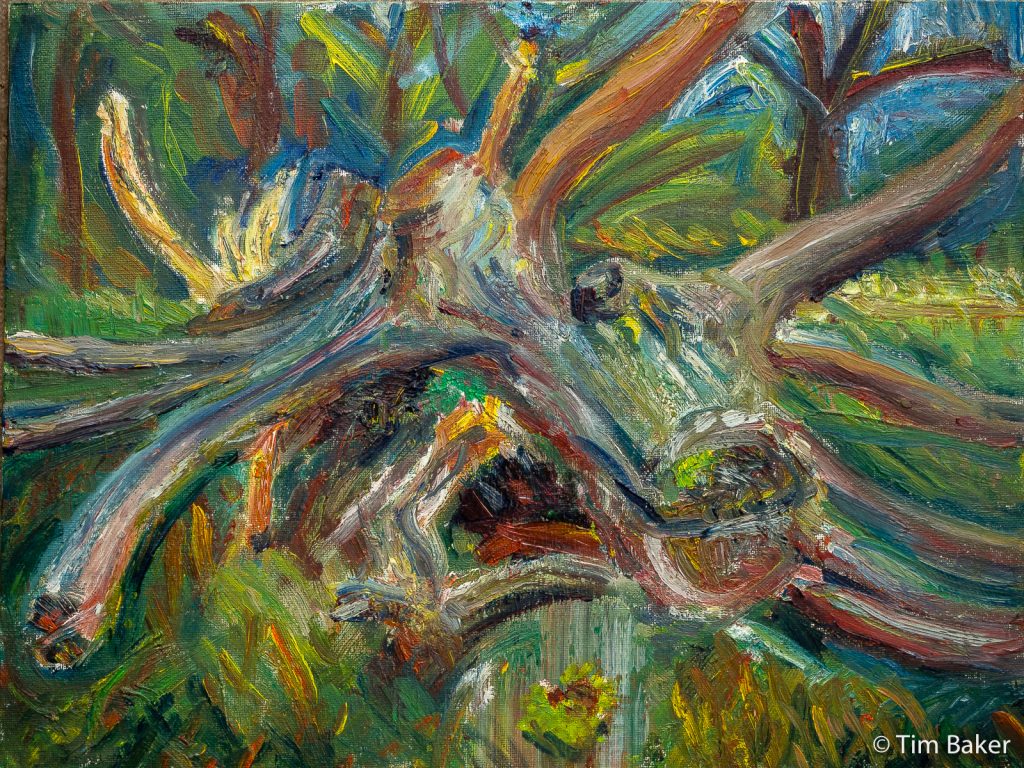 Emerald Green #2 (Dead Tree Series), final, oils, 16x12