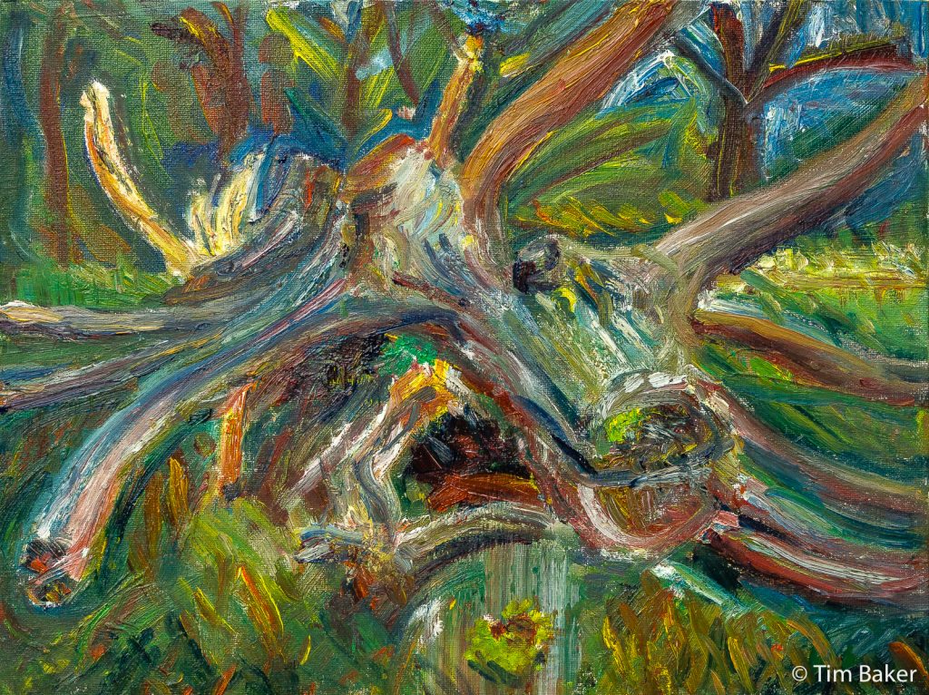 Emerald Green Twin #2 (Dead Tree Series) - top lit view, final, oils, 16x12