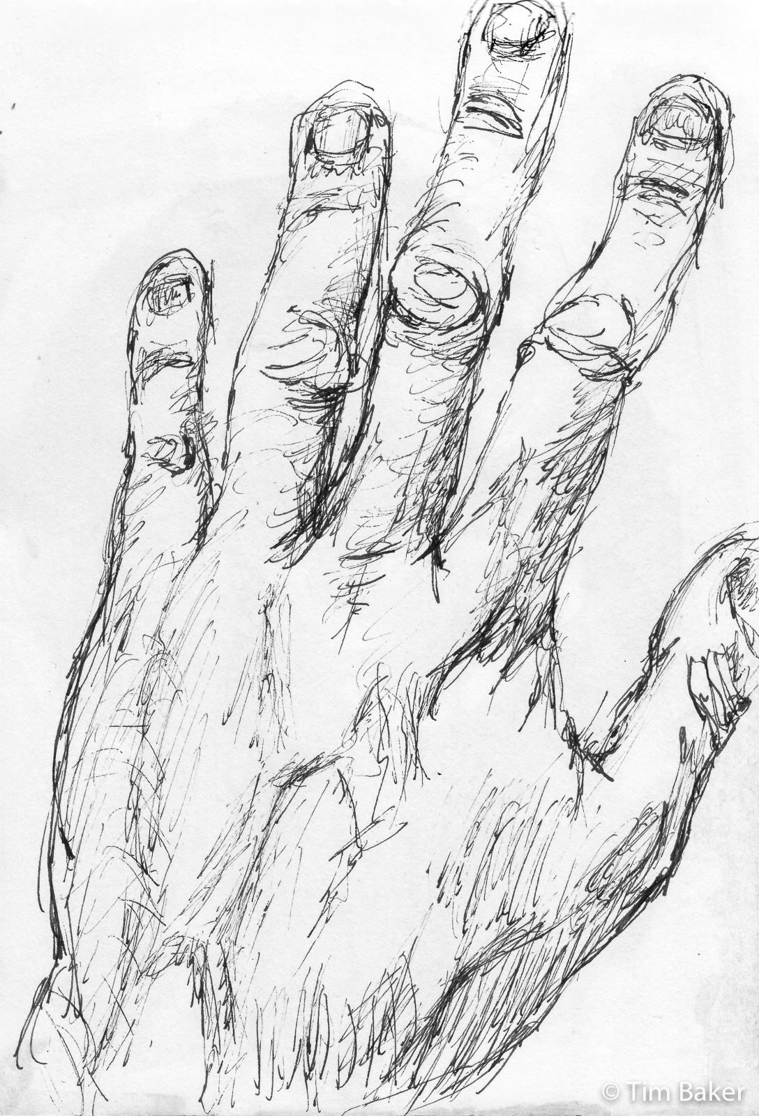 Hand Study, 5PM Challenge 62, Fountain Pen with Sketchink, A5 sketchbook.