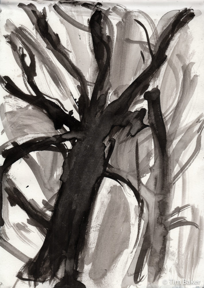 Black Wood, Box Hill, Kuretake with Rotring Ink and brush, A3.