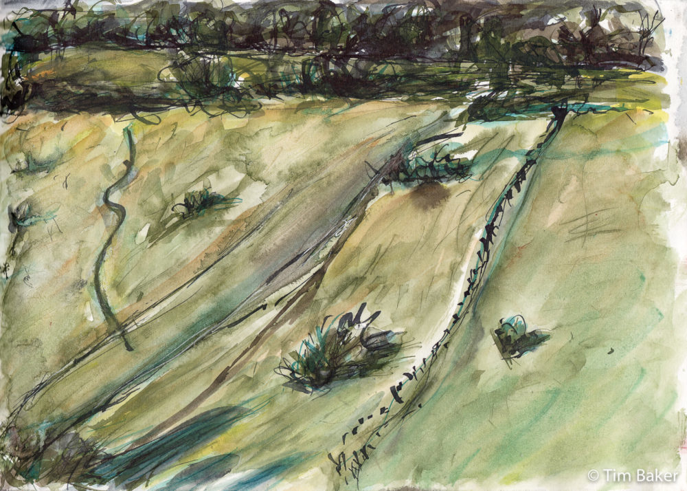 Reverse Zig Zag (Panel 2), Box Hill, Parallel Pen with Sketchink and brush.