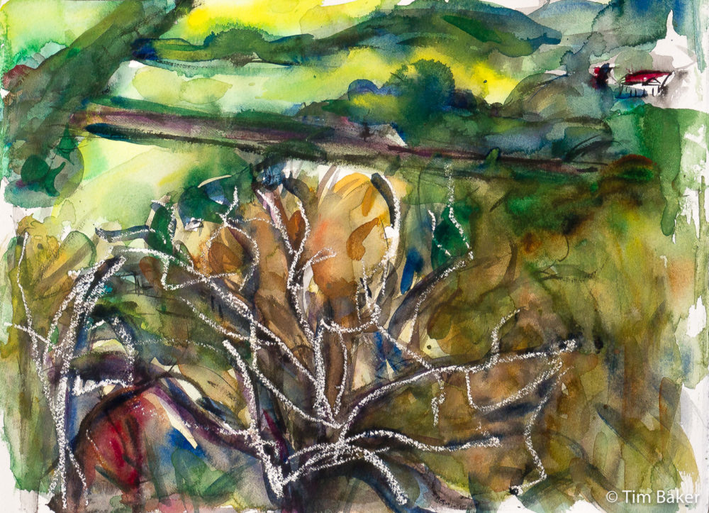 The Whites, Box Hill, Watercolour and wax resist, A3.