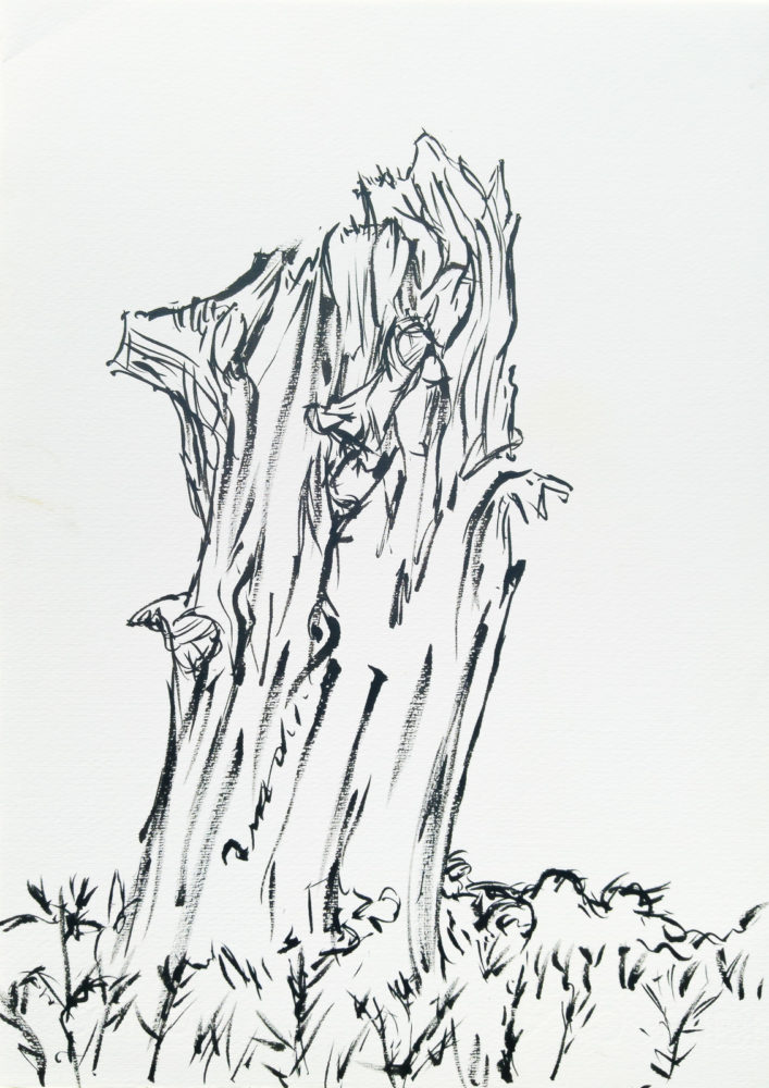 Ferns and Blue Sky - ink drawing (Dead Tree Series), Kuretake Brush Pen, 25x35.5cm, Fabriano F5 paper.