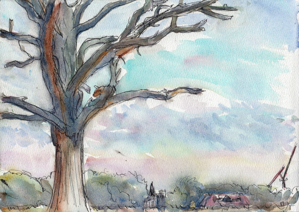 Towards Hampton Wick (Dead Tree Series), Watercolour and Fountain Pen, A4 etchr sketchbook.