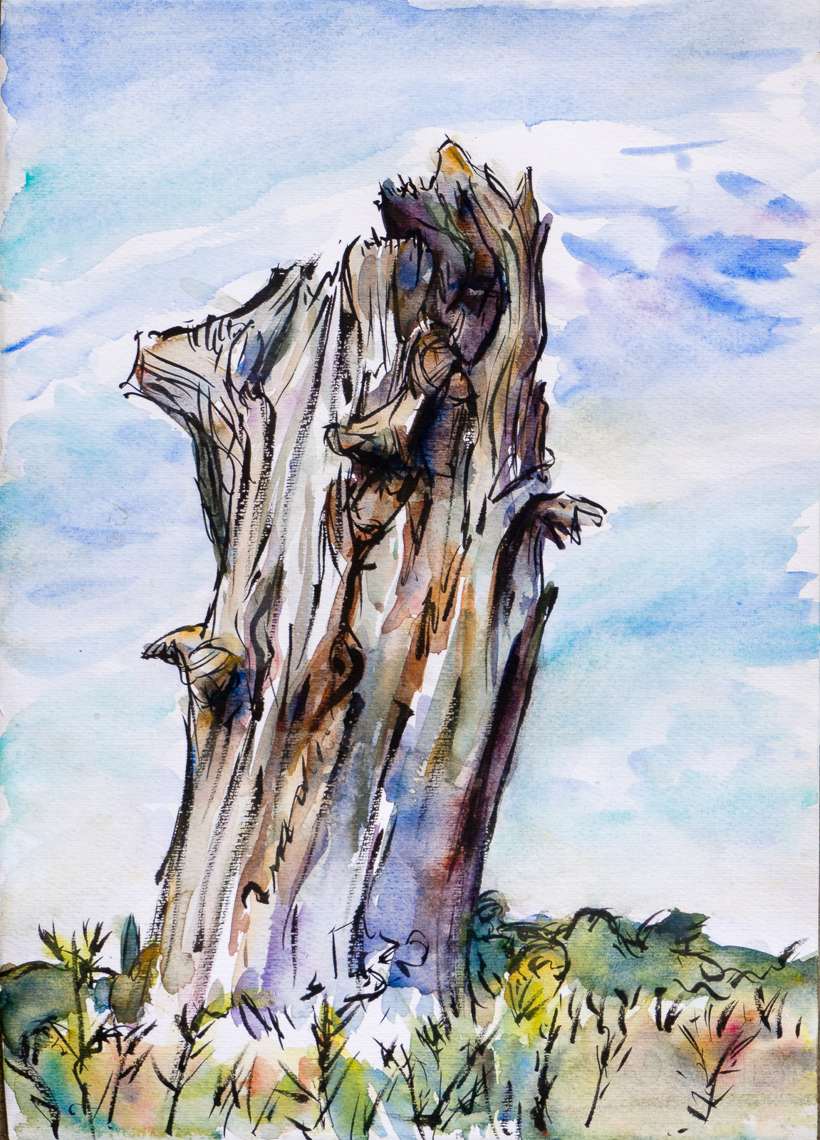 Ferns and Blue Sky - final (Dead Tree Series), Kuretake Brush Pen and watercolour, 25x35.5cm, Fabriano F5 paper.