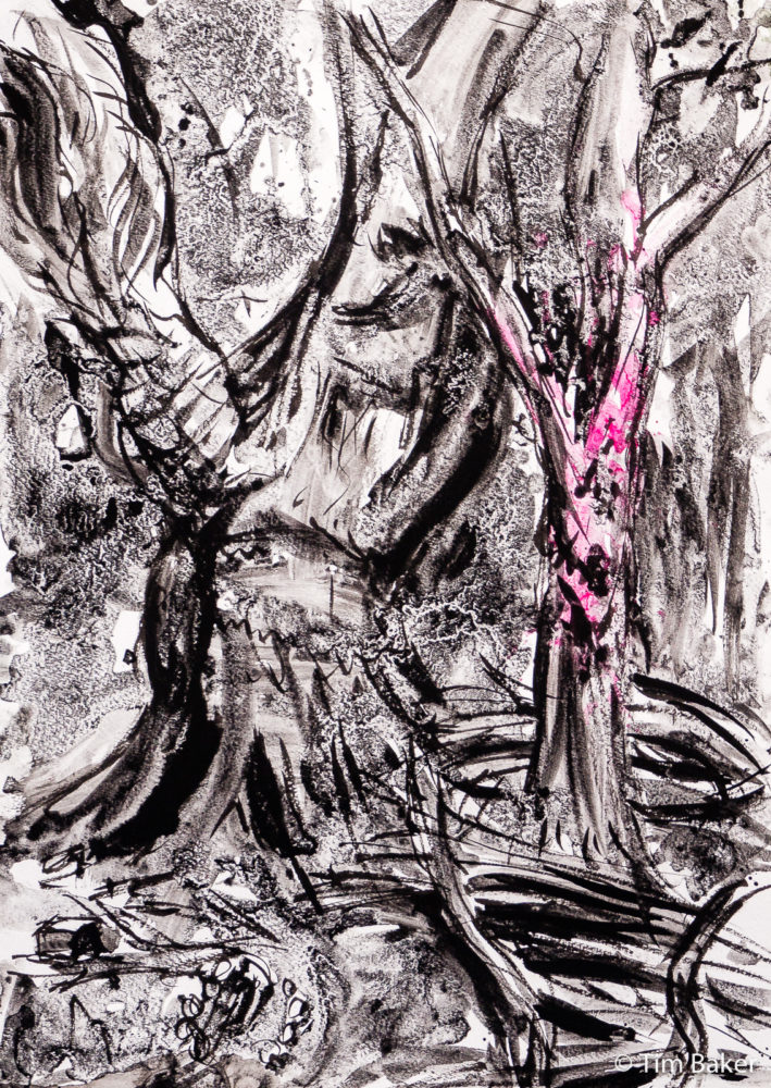 Tragedy of The Commons (Dead Tree Series), Claygate Common, Jackson's, Winsor & Newton and FW Ink and brush. A3