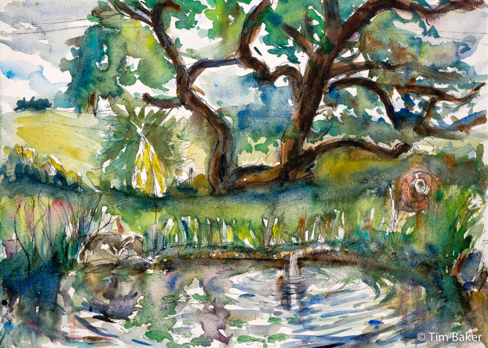Fish Pond, Hambledon, Fountain Pen and Watercolour, 25x35.5cm, Fabriano F5 paper.