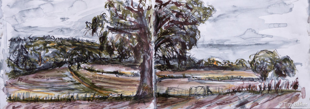 Hydon's Ball, Hambledon (Two Panels), Parallel Pen, Brush and Wax resist, A4 sketchbook