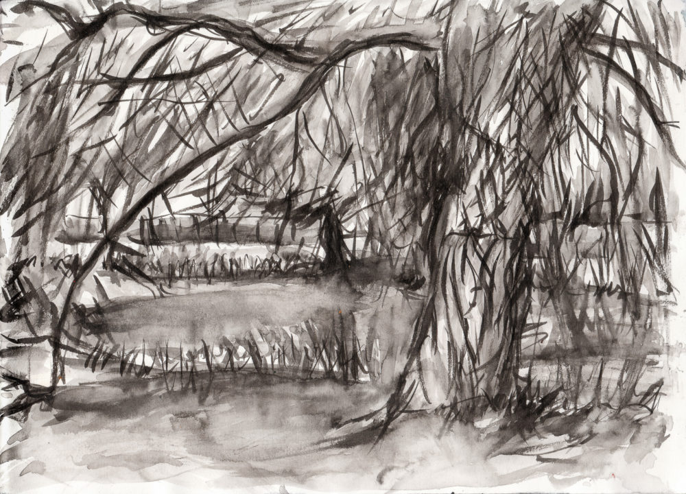 Hampton Wick Pond, Home Park, Kuretake Brush Pen and wash, A4 sketchbook.