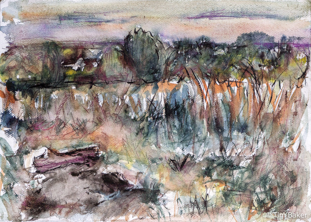 Viewside Fire, Stoke's Field. Parallel Pens with wash, Sketchink and Kuretake brush pen, Khadi A3 paper.
