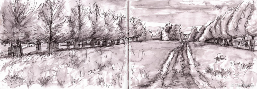 Approach (both panels), #Mynktober #Inktober Day 15 Fountain Pen and wash, 2xA4 sketchbook pages.
