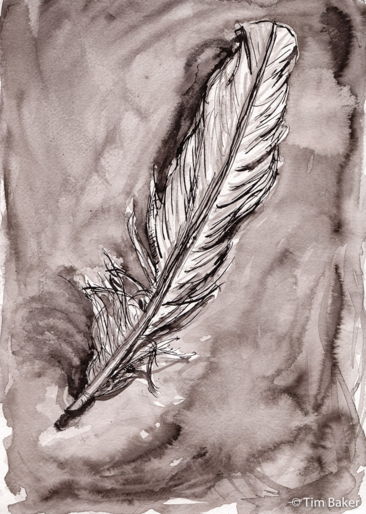 Feather by Feather, #mynktober Day 4, Jackson's ink, quill and ink brush wash, A4.