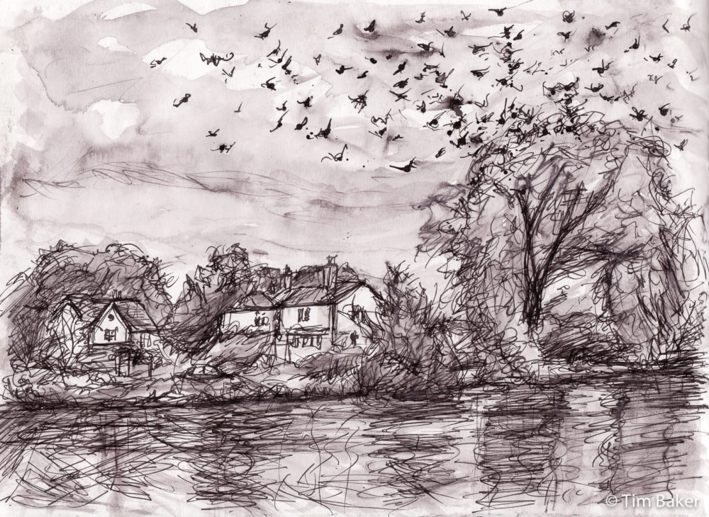 The Birds, 5PM Challenge #110, Fountain Pen and Brush, A4 pad.