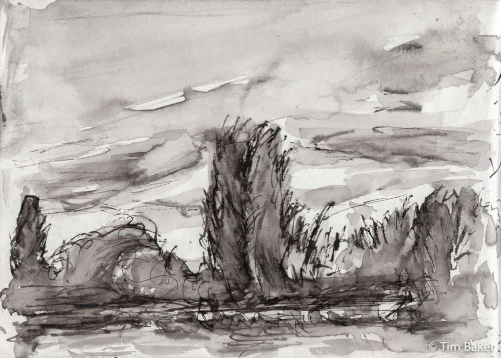 River Cypresses, 5PM Challenge 113, Sailor Fude Pen and Brush, A5.