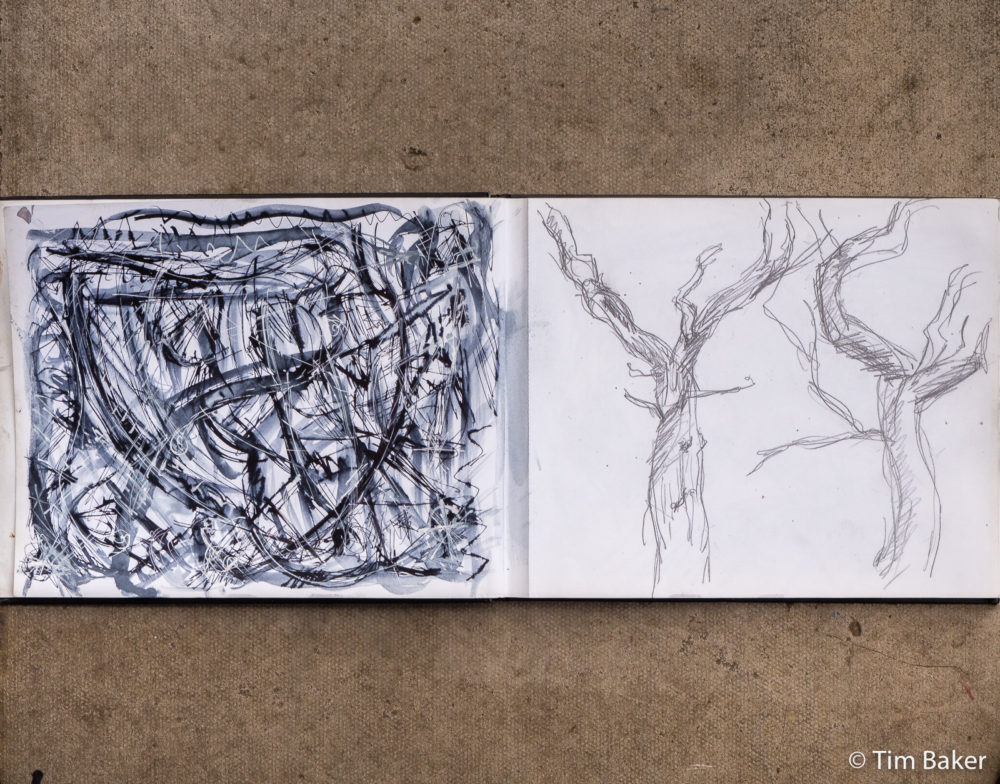 Going Back To My Roots No. 1 Abstract (in situ spread photo with 2006 drawing of trees in the Peak District) , 5PM Challenge 107, Parallel Pen and Marker with Molotow white ink and wash, A4-ish pad.