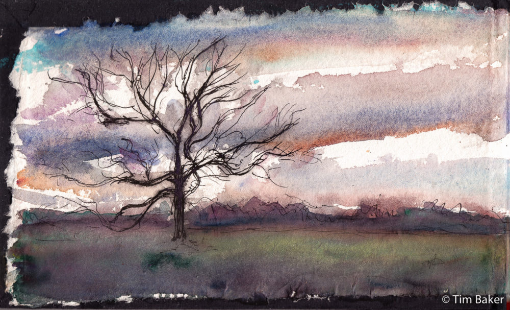 Winter Afternoon (panel 1), Fountain Pen and Watercolour, Indigo Panorama cotton Artway sketchbook. 