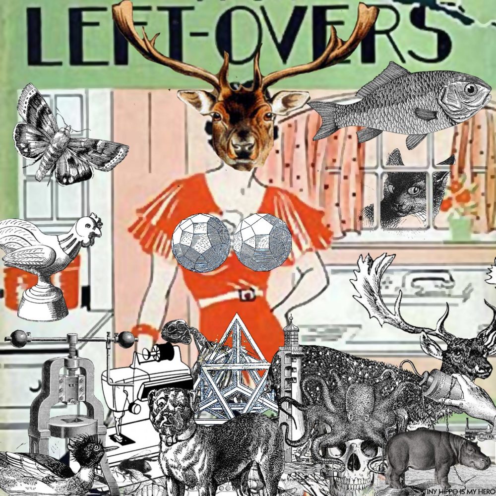 253: Leftovers, digital collage of one Google search (Google Collage)