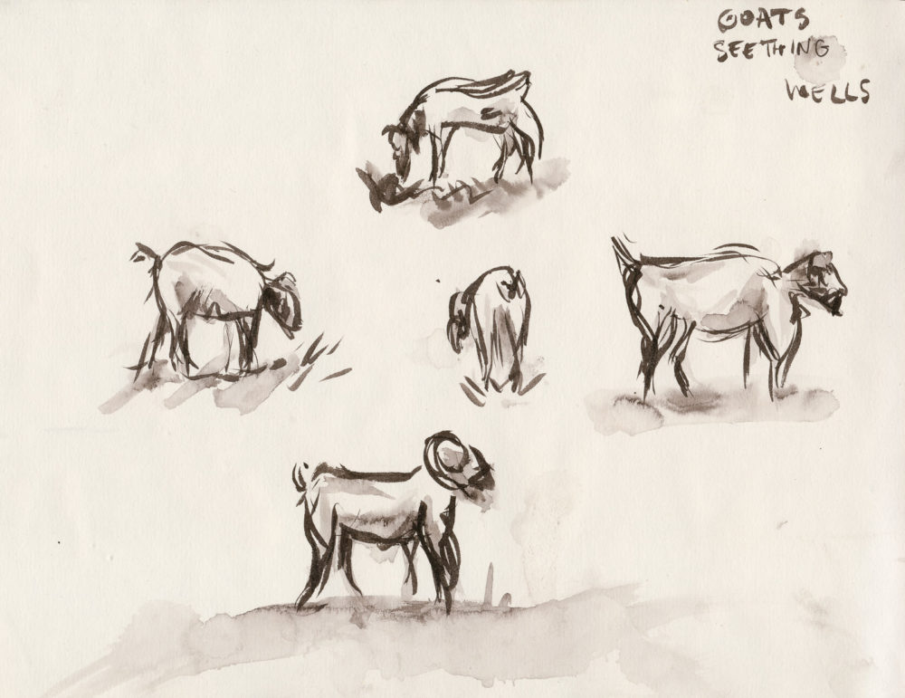 Goats, Filter Beds, Seetihing Wells, Brush Pen and Wash, A4 sketchbook. Surbiton