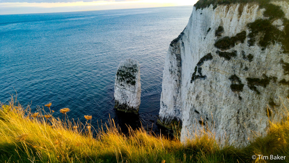 One of the Pinnacles, Old Harry's Rocks near Studland