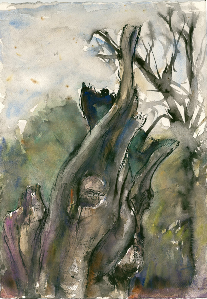 Myrkviðr (Mirkwood 2 - Dead Tree Series), Pen and Watercolour, A3 Khadi Cotton Paper.