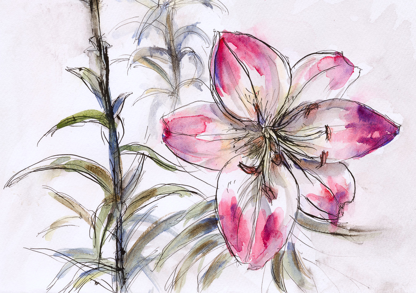 Darling Buds of May – Flower Studies