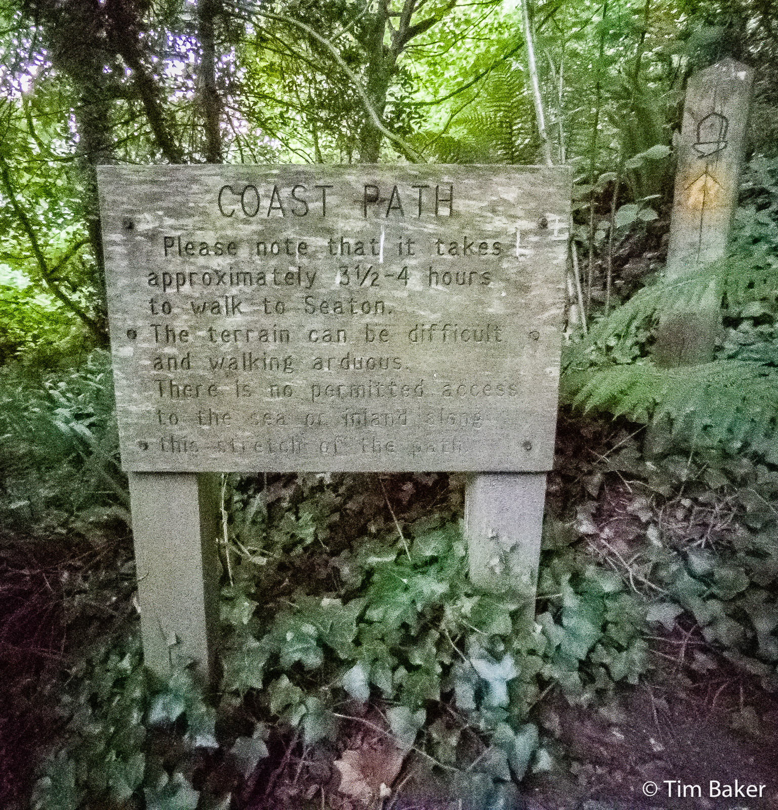 The Sign warning you of ' 'difficult..,terrain and arduous walking' and no exits at Axmouth to Lyme Regis Undercliffs. IT LIES.