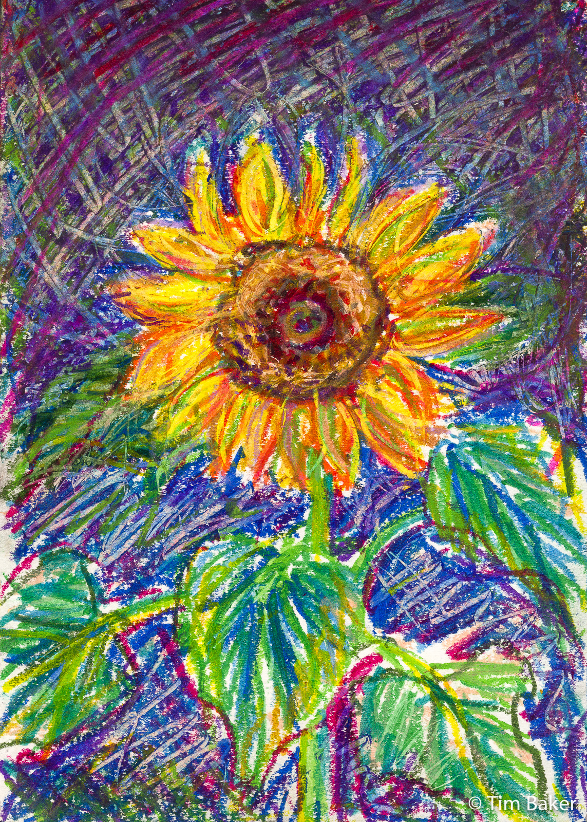 Sunflowers, Irises and Sensory Gardens
